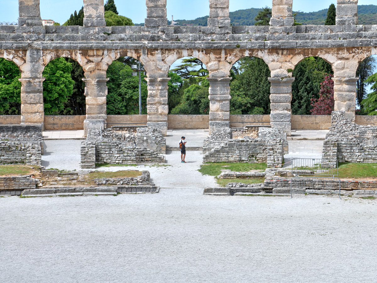 Arena Image 6