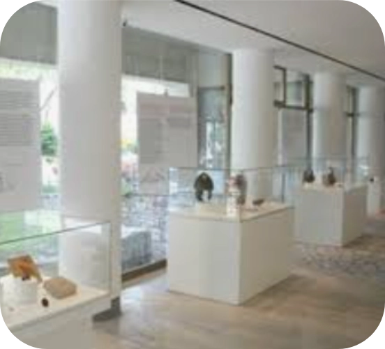 Arena Gallery